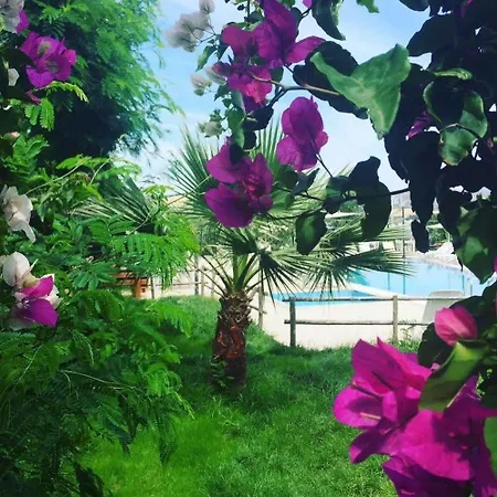 Marina Otel 3*